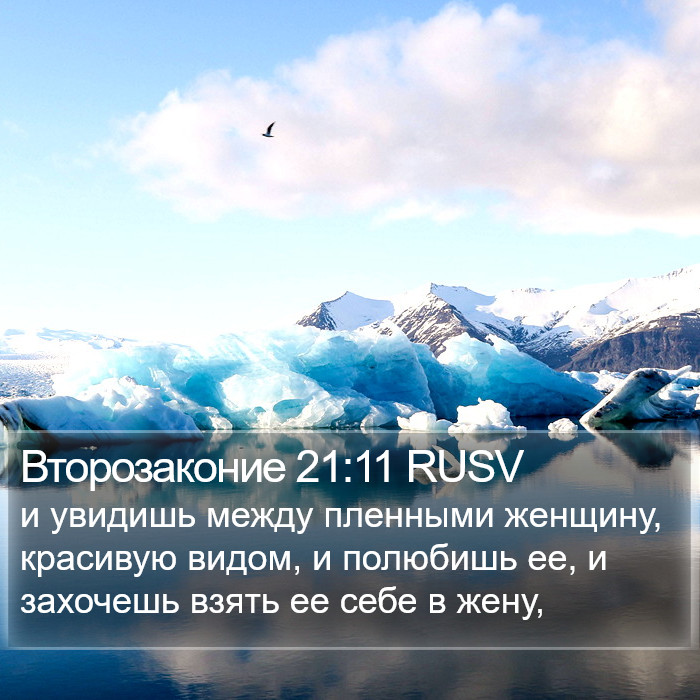 Второзаконие 21:11 RUSV Bible Study