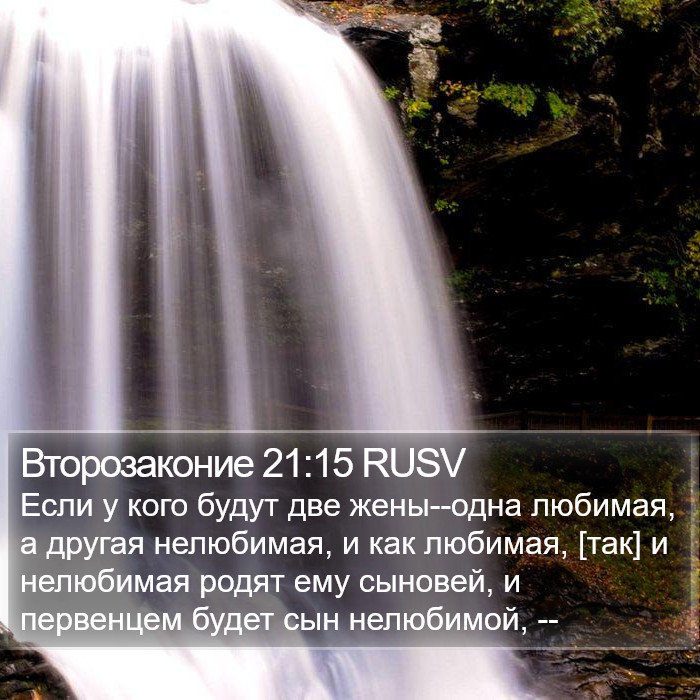 Второзаконие 21:15 RUSV Bible Study