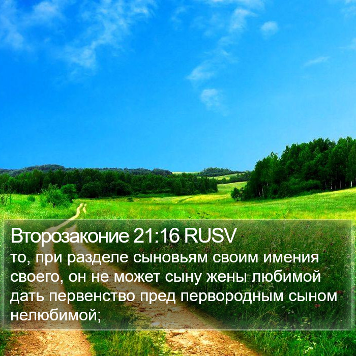 Второзаконие 21:16 RUSV Bible Study