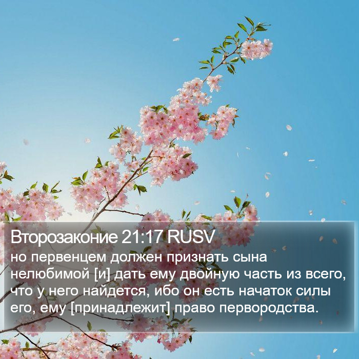 Второзаконие 21:17 RUSV Bible Study