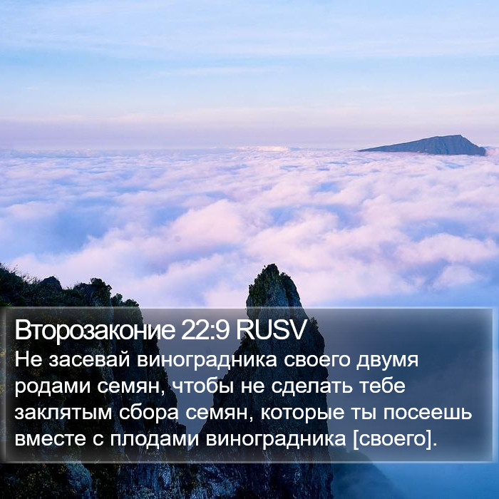 Второзаконие 22:9 RUSV Bible Study