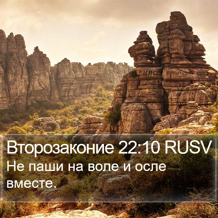 Второзаконие 22:10 RUSV Bible Study