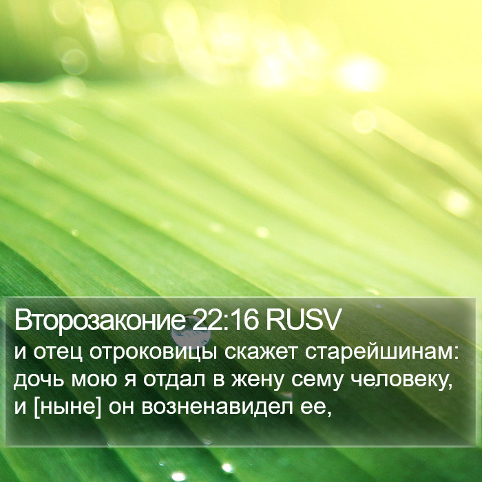 Второзаконие 22:16 RUSV Bible Study