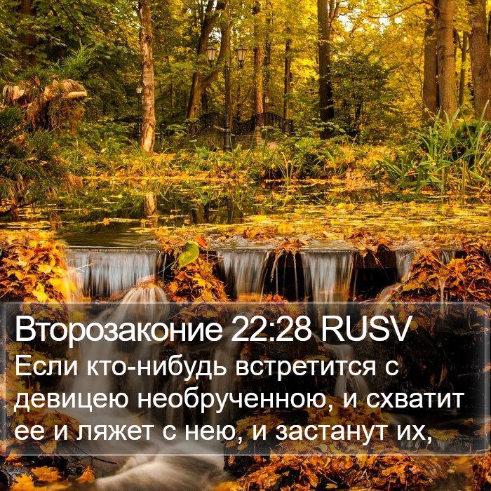 Второзаконие 22:28 RUSV Bible Study