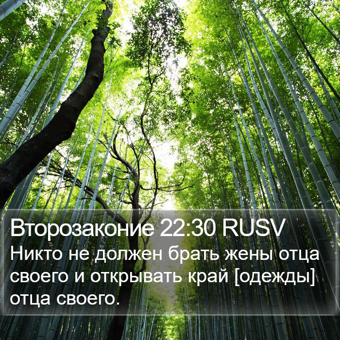 Второзаконие 22:30 RUSV Bible Study