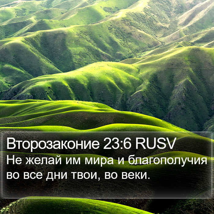 Второзаконие 23:6 RUSV Bible Study