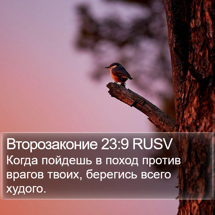 Второзаконие 23:9 RUSV Bible Study