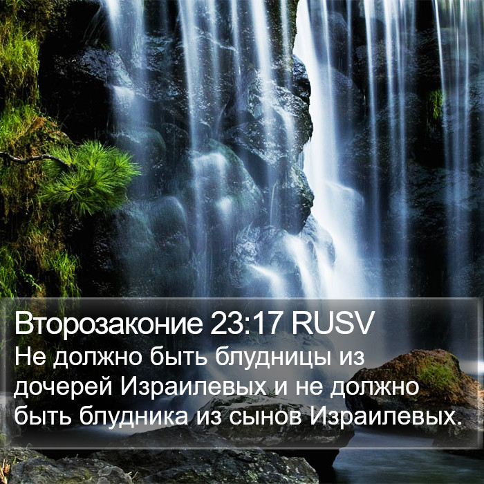 Второзаконие 23:17 RUSV Bible Study