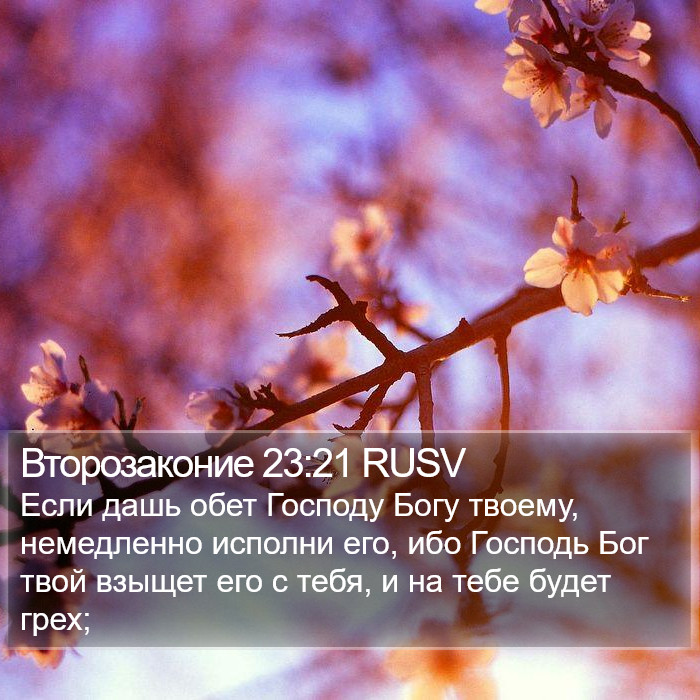 Второзаконие 23:21 RUSV Bible Study