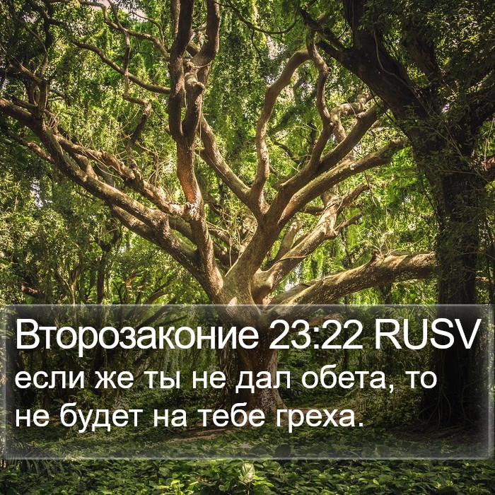 Второзаконие 23:22 RUSV Bible Study