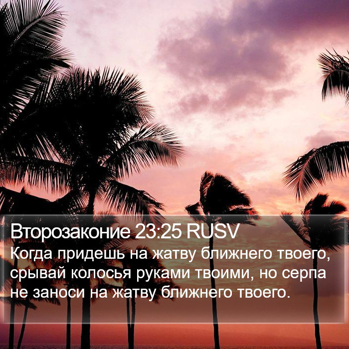 Второзаконие 23:25 RUSV Bible Study