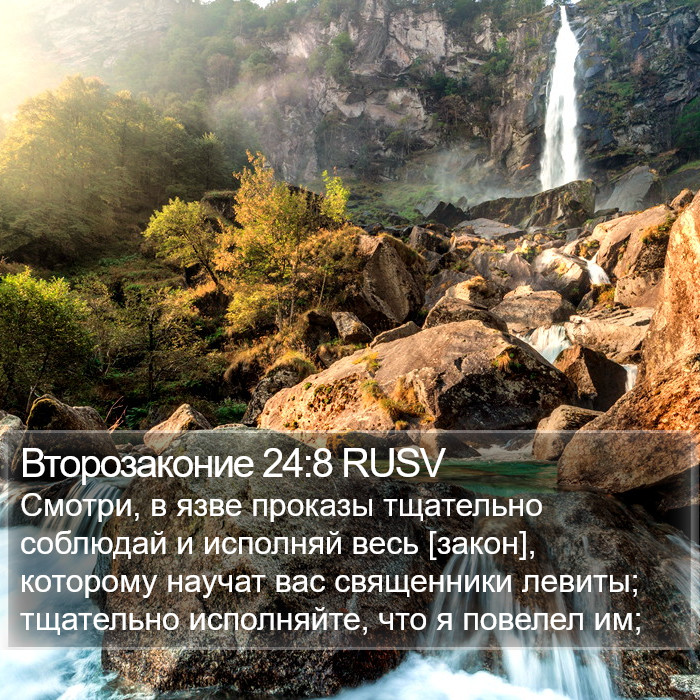 Второзаконие 24:8 RUSV Bible Study