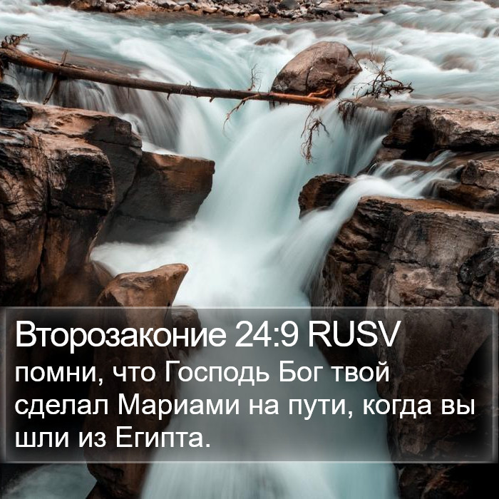 Второзаконие 24:9 RUSV Bible Study