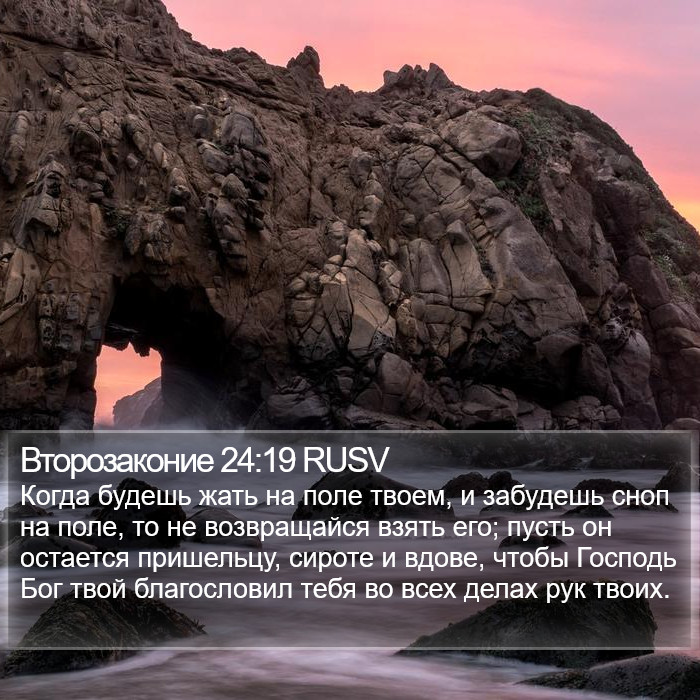 Второзаконие 24:19 RUSV Bible Study