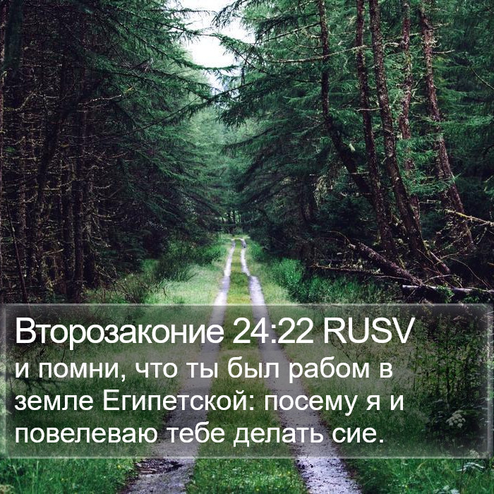 Второзаконие 24:22 RUSV Bible Study