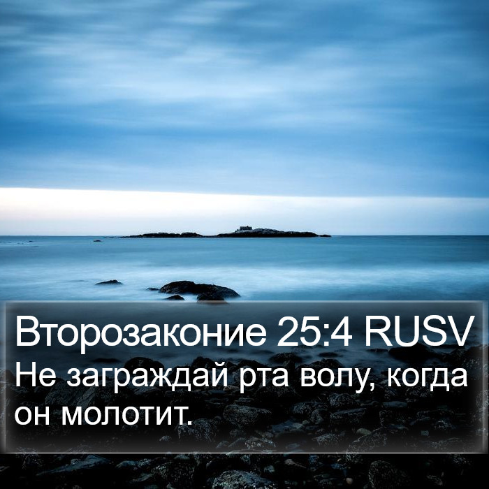 Второзаконие 25:4 RUSV Bible Study