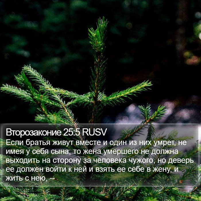 Второзаконие 25:5 RUSV Bible Study