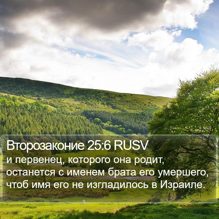 Второзаконие 25:6 RUSV Bible Study