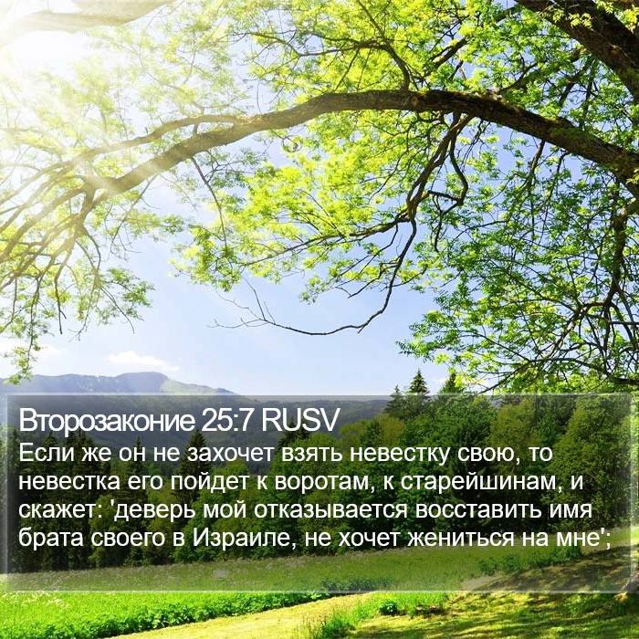 Второзаконие 25:7 RUSV Bible Study