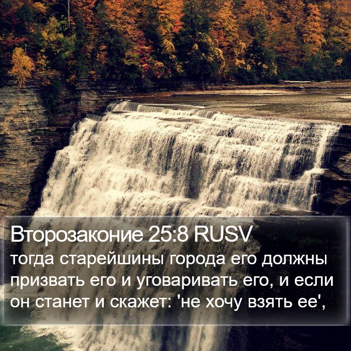 Второзаконие 25:8 RUSV Bible Study