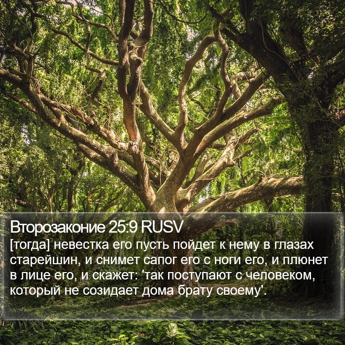 Второзаконие 25:9 RUSV Bible Study