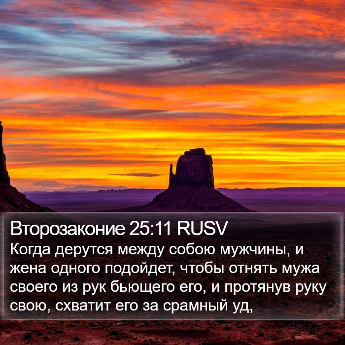 Второзаконие 25:11 RUSV Bible Study