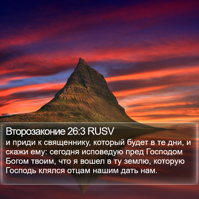 Второзаконие 26:3 RUSV Bible Study