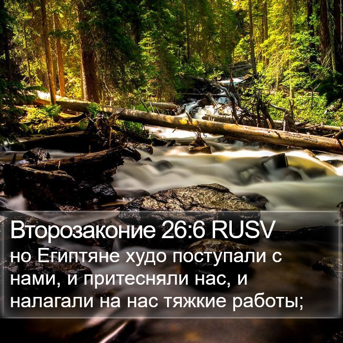 Второзаконие 26:6 RUSV Bible Study