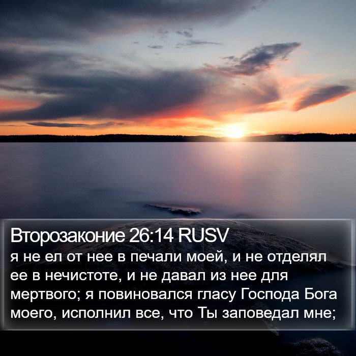 Второзаконие 26:14 RUSV Bible Study