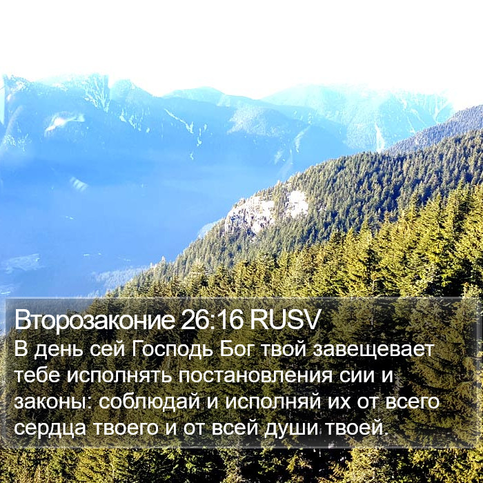 Второзаконие 26:16 RUSV Bible Study