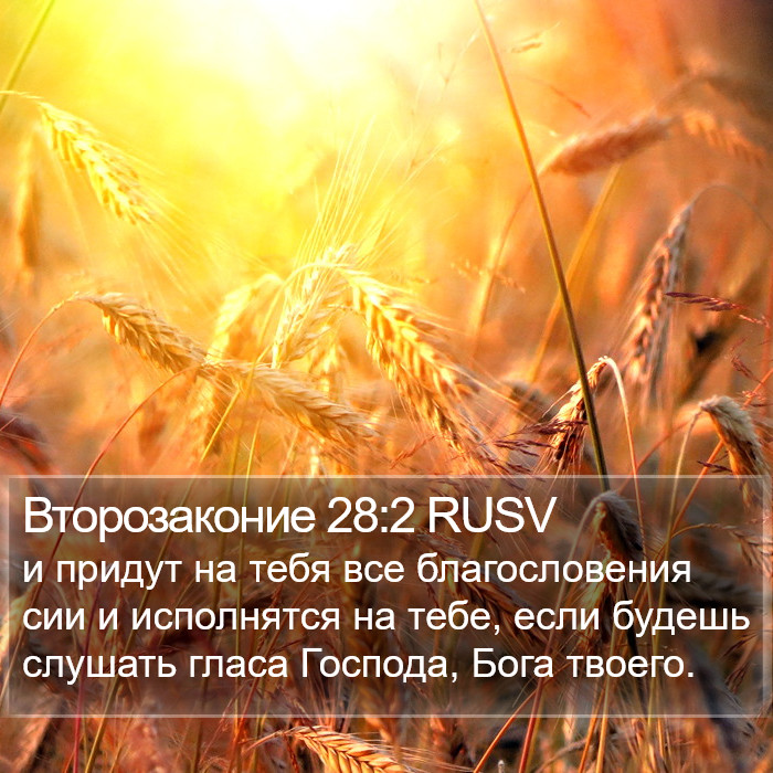 Второзаконие 28:2 RUSV Bible Study