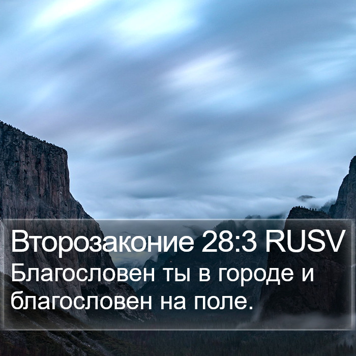 Второзаконие 28:3 RUSV Bible Study