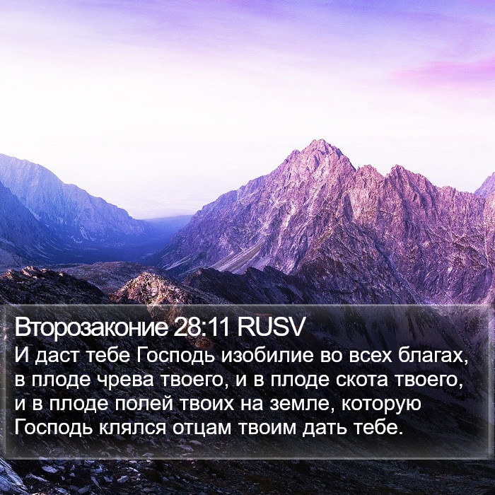 Второзаконие 28:11 RUSV Bible Study