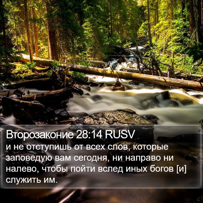 Второзаконие 28:14 RUSV Bible Study