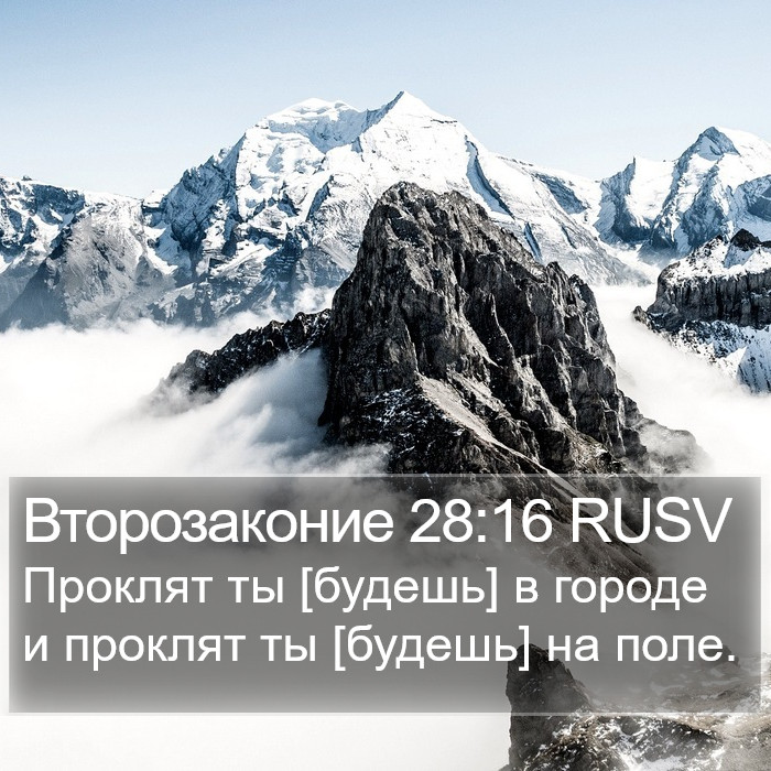 Второзаконие 28:16 RUSV Bible Study