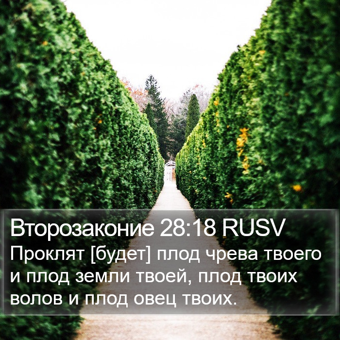 Второзаконие 28:18 RUSV Bible Study