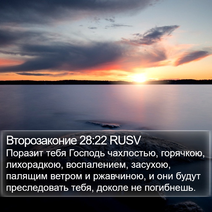 Второзаконие 28:22 RUSV Bible Study