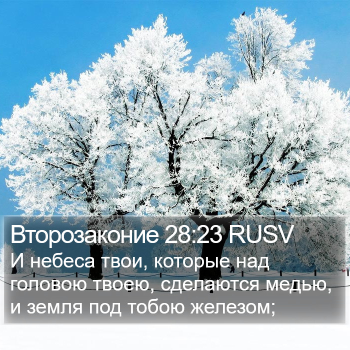 Второзаконие 28:23 RUSV Bible Study