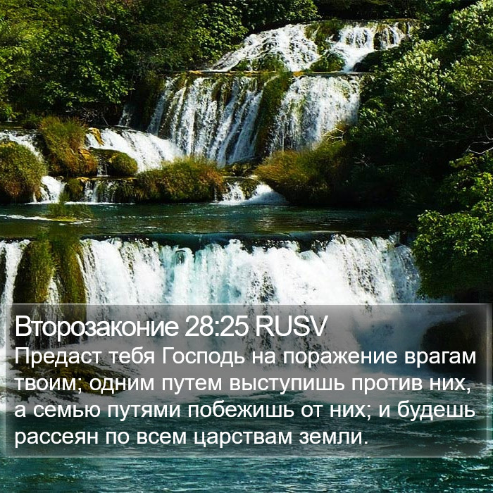 Второзаконие 28:25 RUSV Bible Study