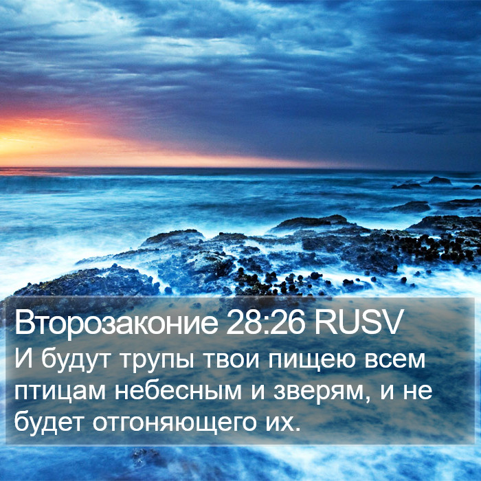 Второзаконие 28:26 RUSV Bible Study