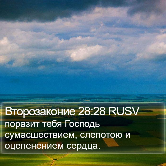 Второзаконие 28:28 RUSV Bible Study