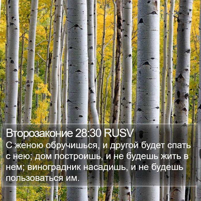 Второзаконие 28:30 RUSV Bible Study