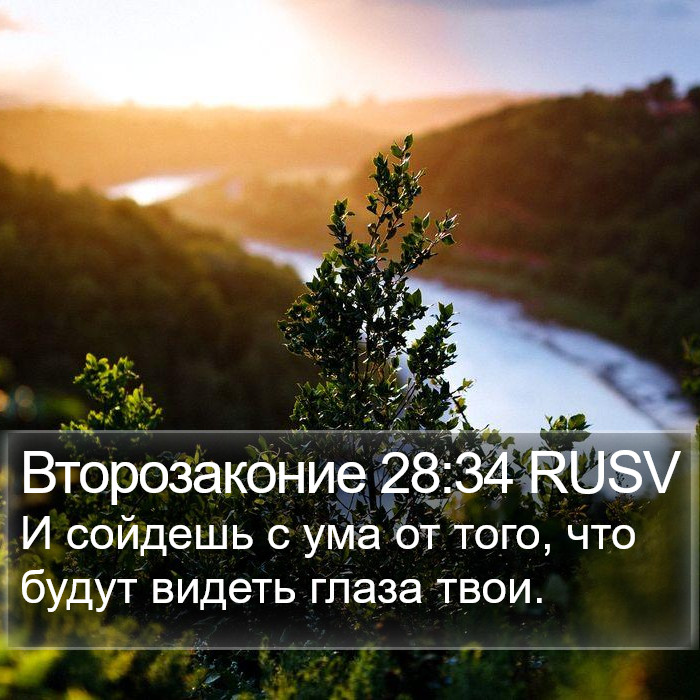 Второзаконие 28:34 RUSV Bible Study