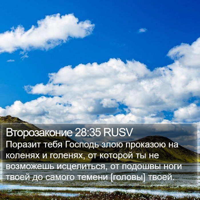 Второзаконие 28:35 RUSV Bible Study