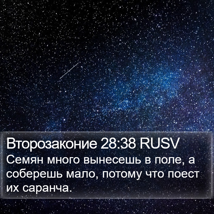 Второзаконие 28:38 RUSV Bible Study