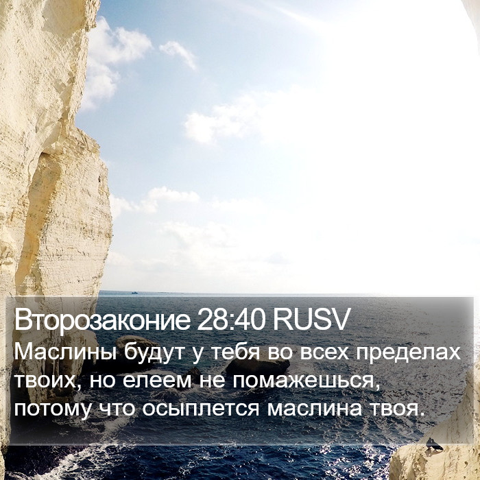 Второзаконие 28:40 RUSV Bible Study