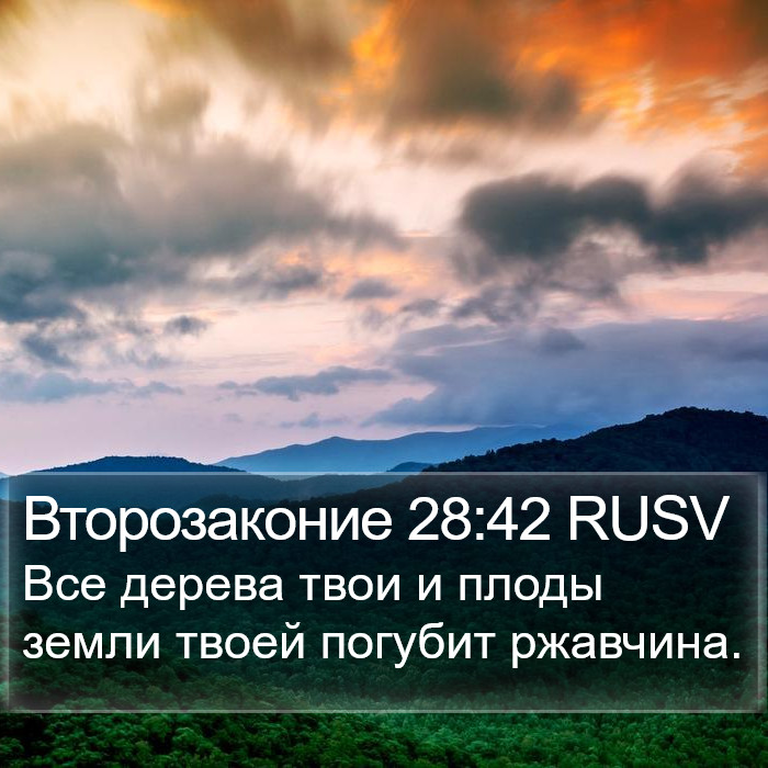 Второзаконие 28:42 RUSV Bible Study