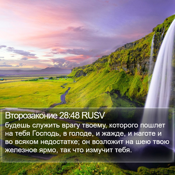 Второзаконие 28:48 RUSV Bible Study