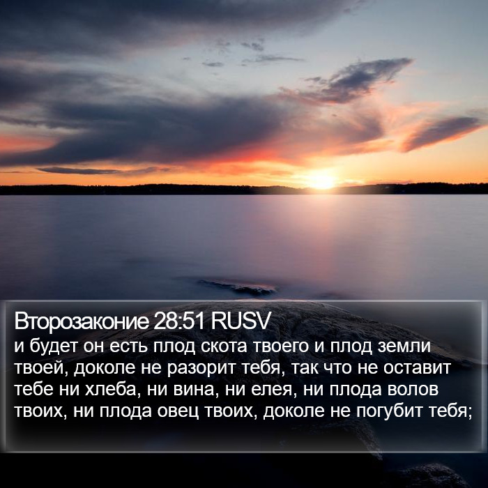 Второзаконие 28:51 RUSV Bible Study