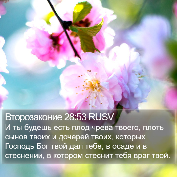 Второзаконие 28:53 RUSV Bible Study